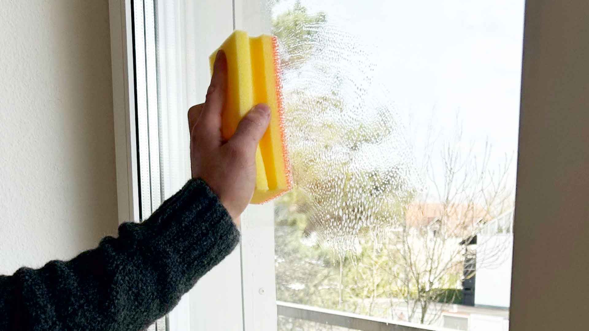 ARCORA Longlife Sponge